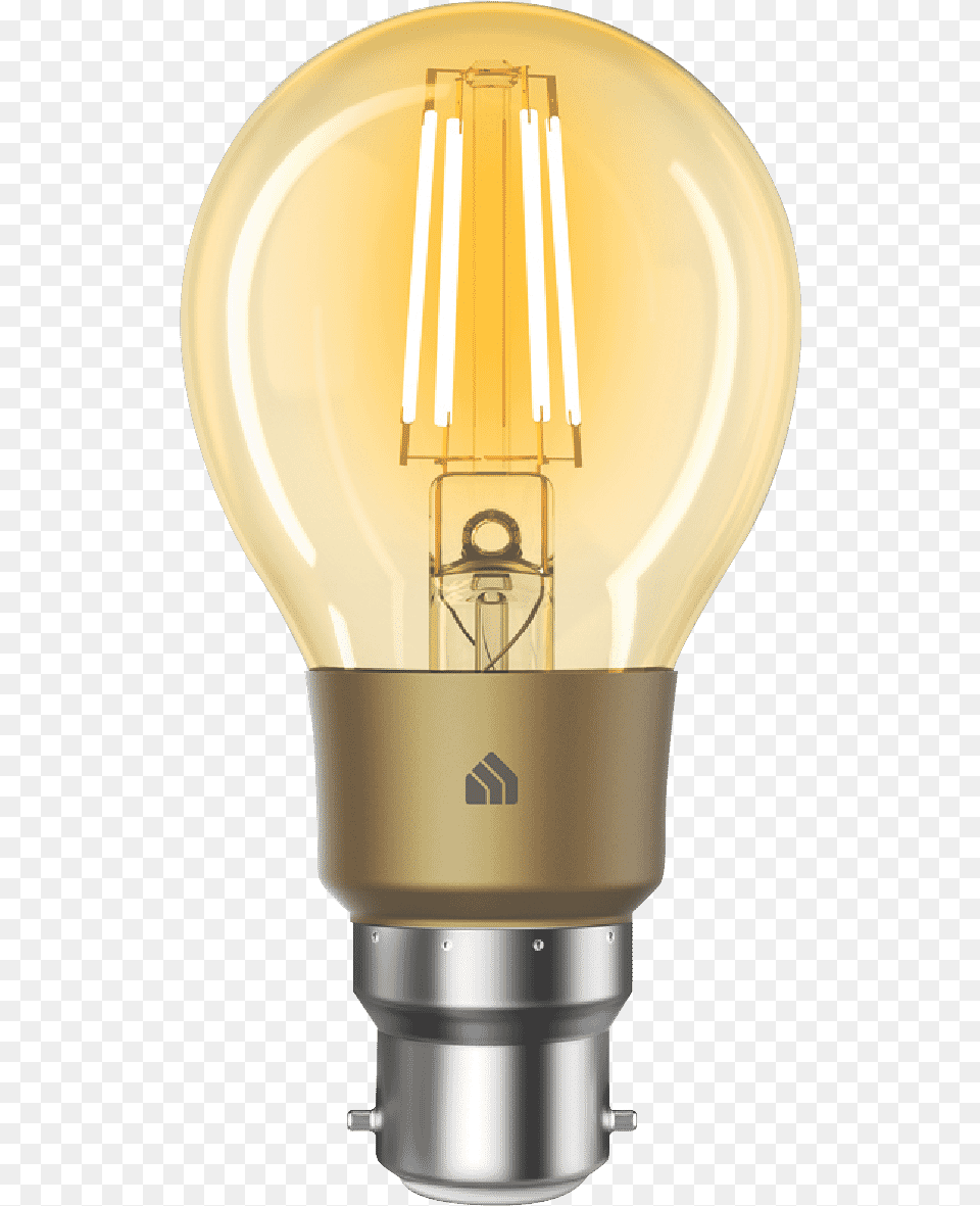 Incandescent Light Bulb, Lightbulb, Bottle, Shaker Png