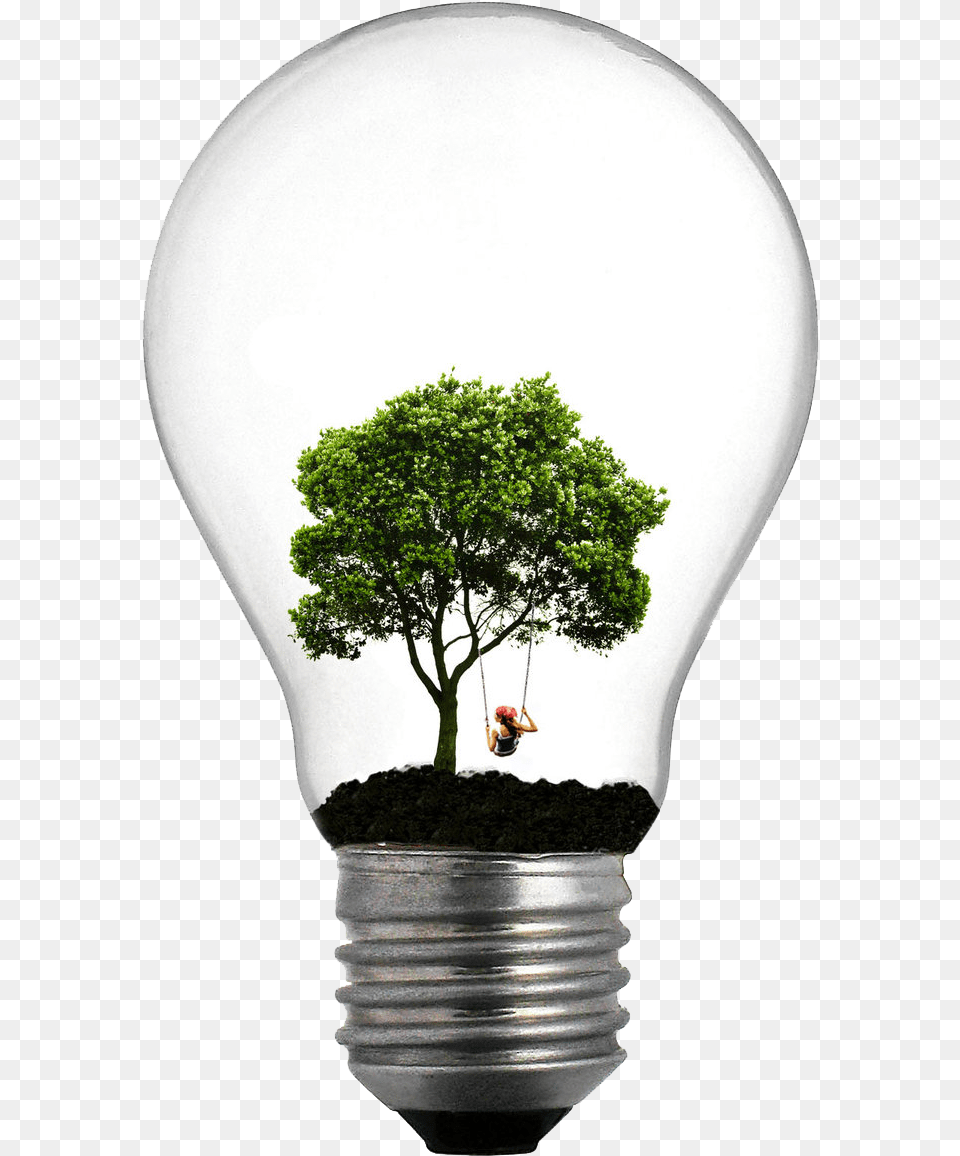 Incandescent Light Bulb Tree Lamp, Lightbulb, Person Free Transparent Png