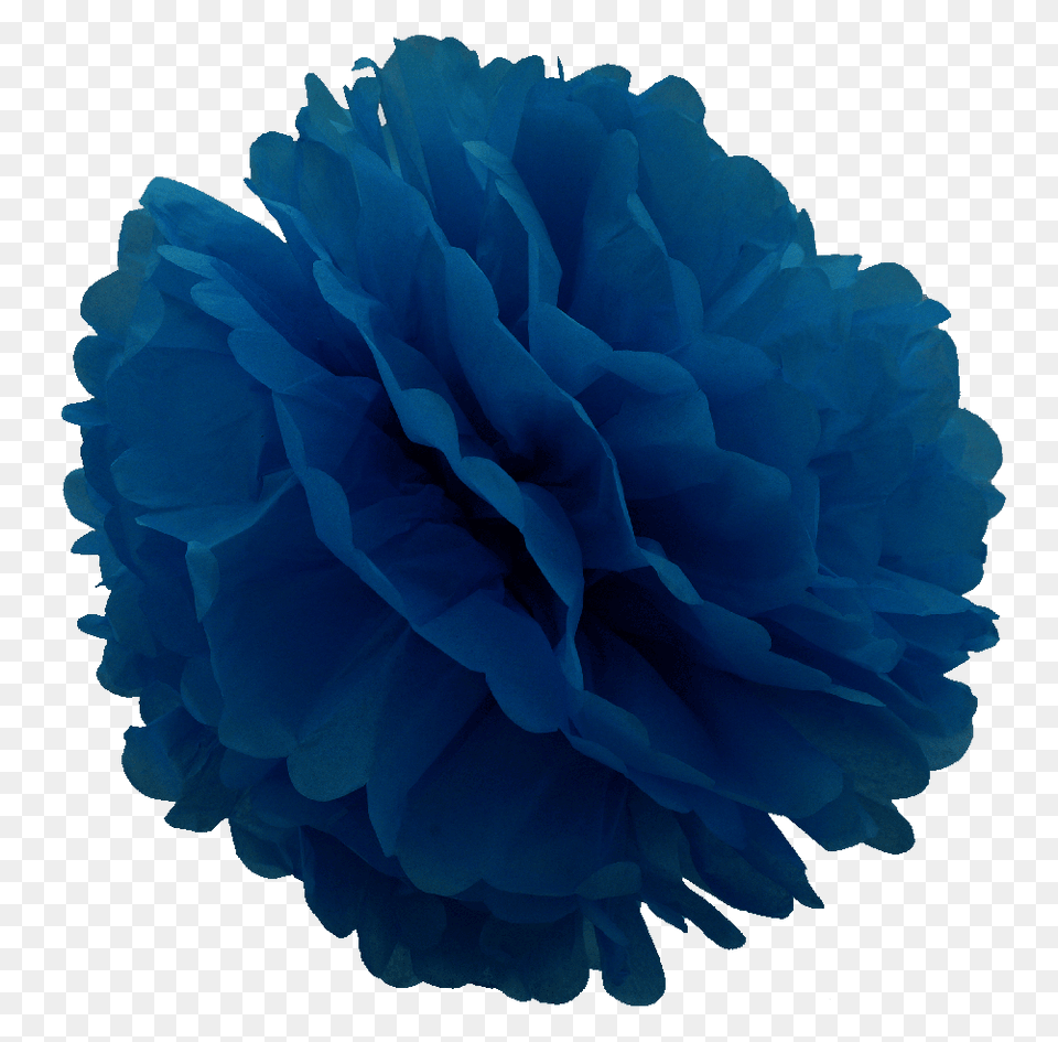 Inch Dark Blue Tissue Pom Pom, Paper, Flower, Plant, Rose Png Image