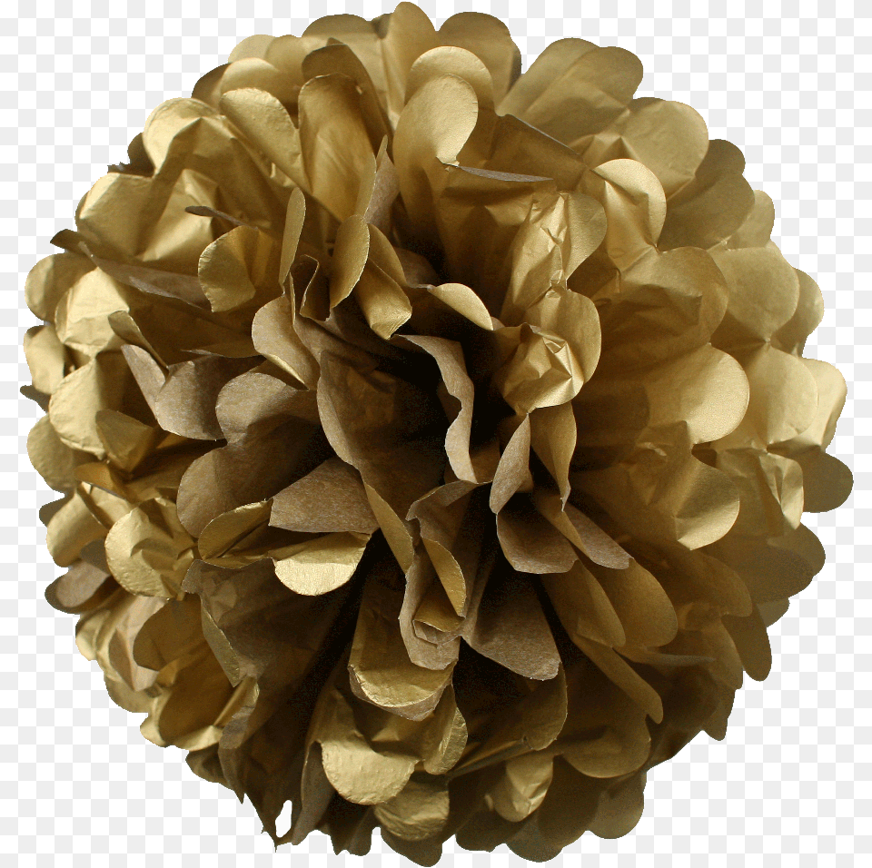 Inch Tissue Paper Flower Pom Poms Pack Of Gold Full Pom Poms Gold, Plant, Rose, Dahlia Free Png