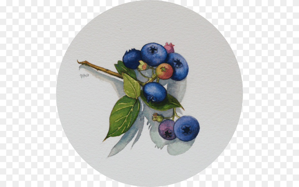 Inches Round Blueberry, Berry, Food, Fruit, Plant Free Png