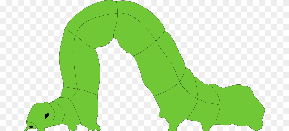 Inchworm Clipart, Green, Animal, Invertebrate, Worm Free Transparent Png