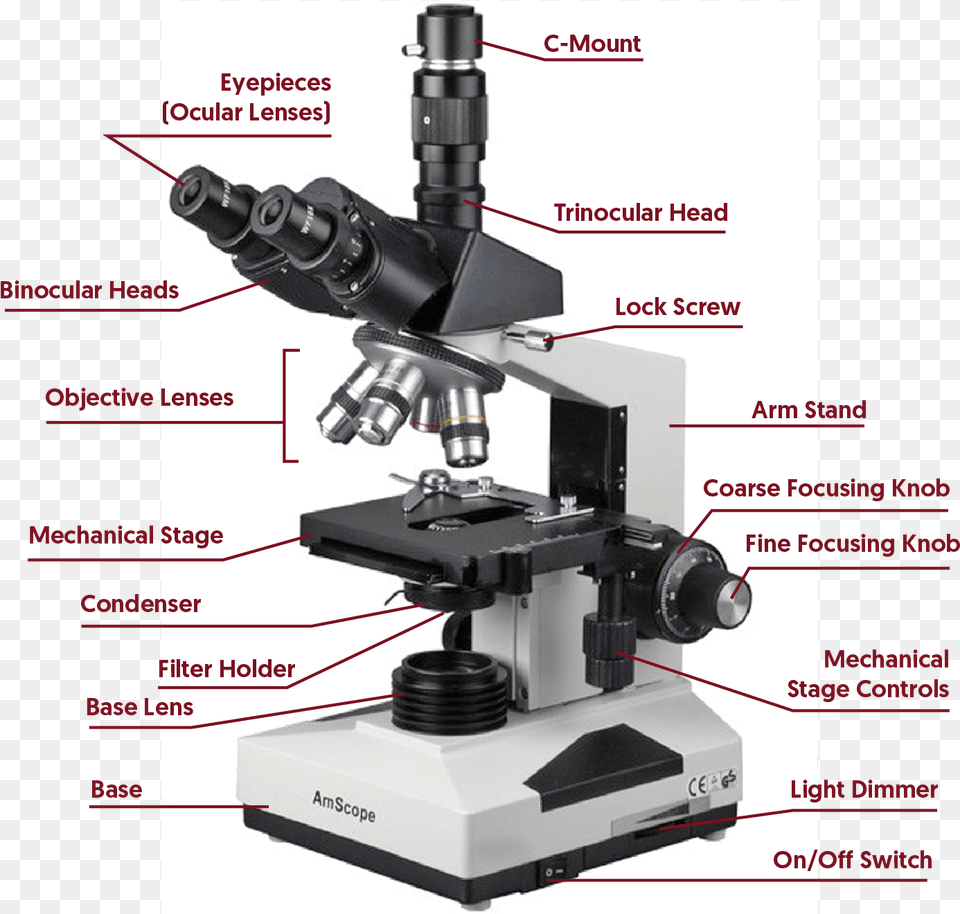 Inclination Joint In Microscope Free Transparent Png