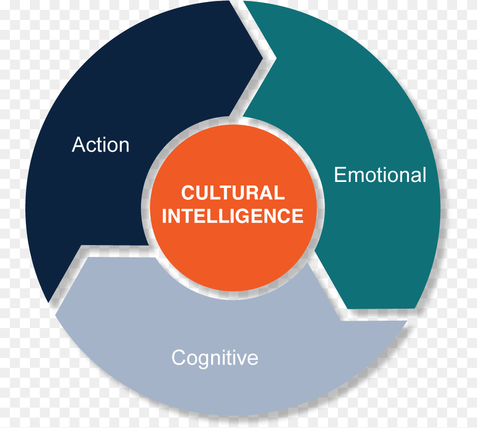 Inclusive Excellence Cultural Intelligence Circle, Disk, Chart Free Transparent Png