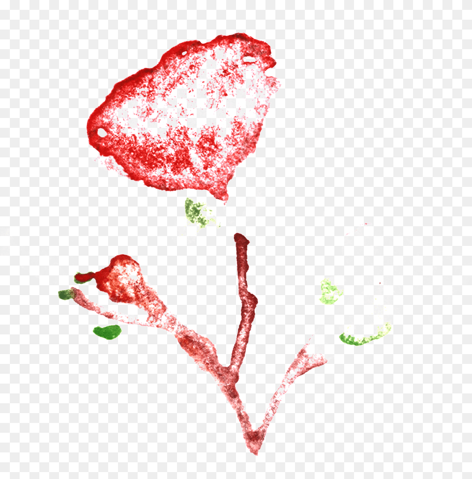 Incomplete Safflower Transparent Decorative Illustration, Plant, Leaf, Flower, Petal Png Image
