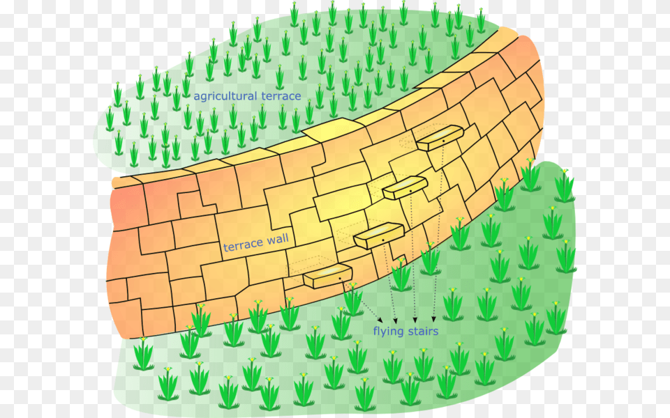 Increased Economic Productive Capacity And Its Consequences, Birthday Cake, Cake, Cream, Dessert Free Transparent Png