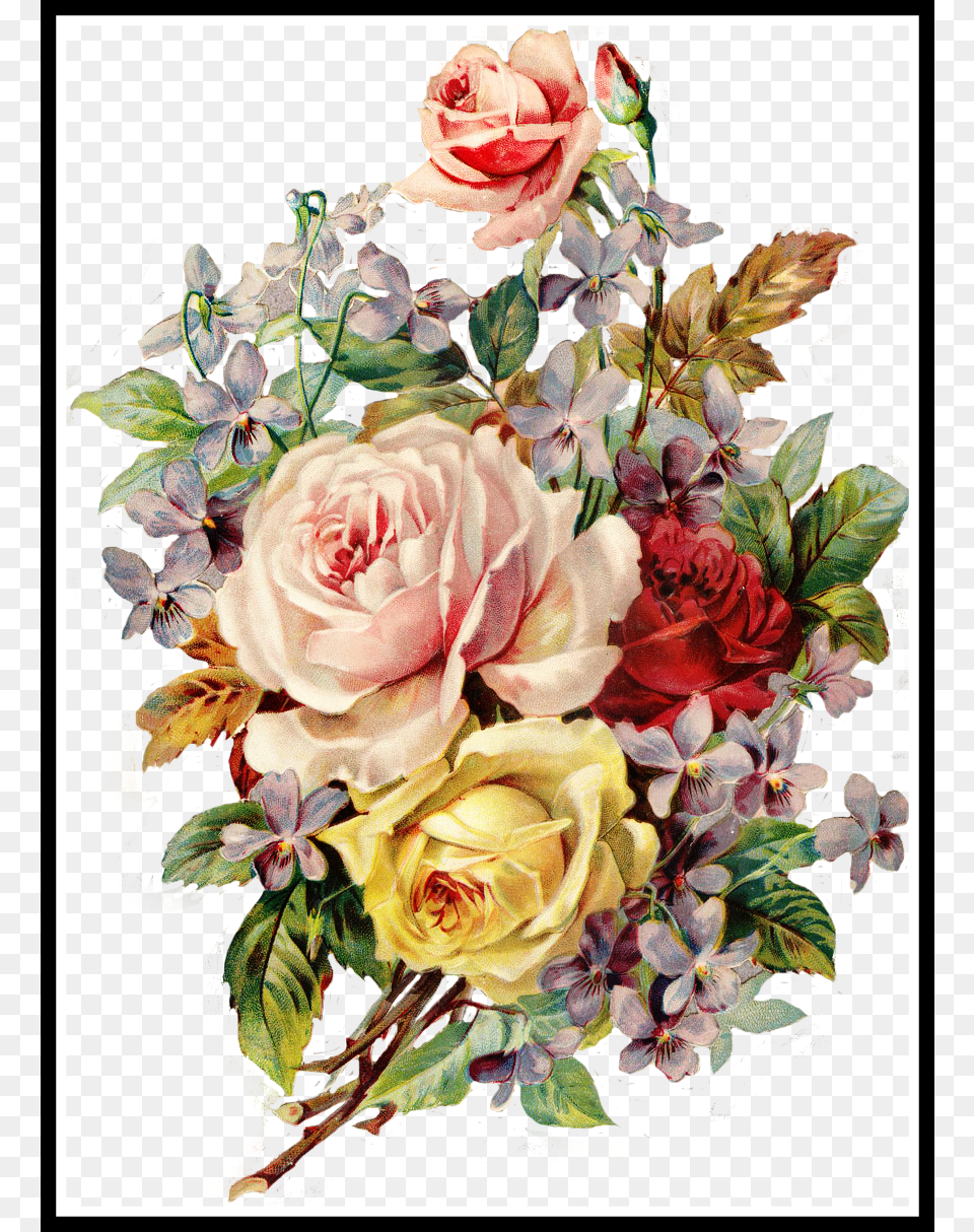 Incredible Fotki Yandex Ru Get Of Colored Pencils Single Vintage Flowers Transparent Background, Art, Floral Design, Flower, Flower Arrangement Png Image