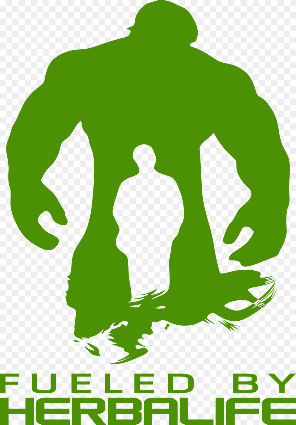 Incredible Hulk Framed Poster, Animal, Bear, Mammal, Wildlife Free Png