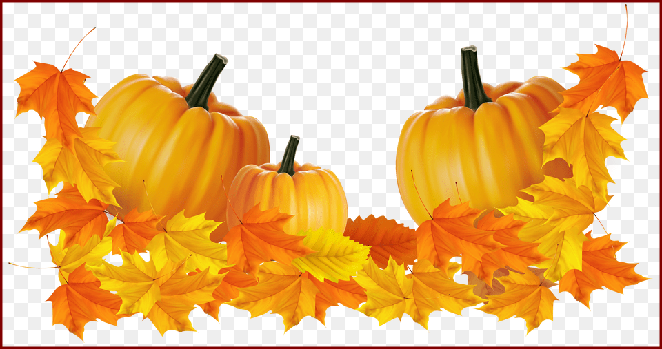 Incredible Transparent Thanksgiving Pumpkin Decor Clipart Transparent Background Pumpkins Clip Art, Leaf, Plant, Tree, Food Png Image