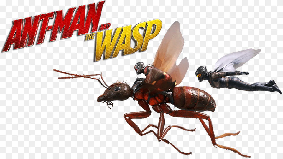 Incredibles 2 Ant Man And The Ant Man Wasp, Animal, Invertebrate, Insect, Bee Png Image