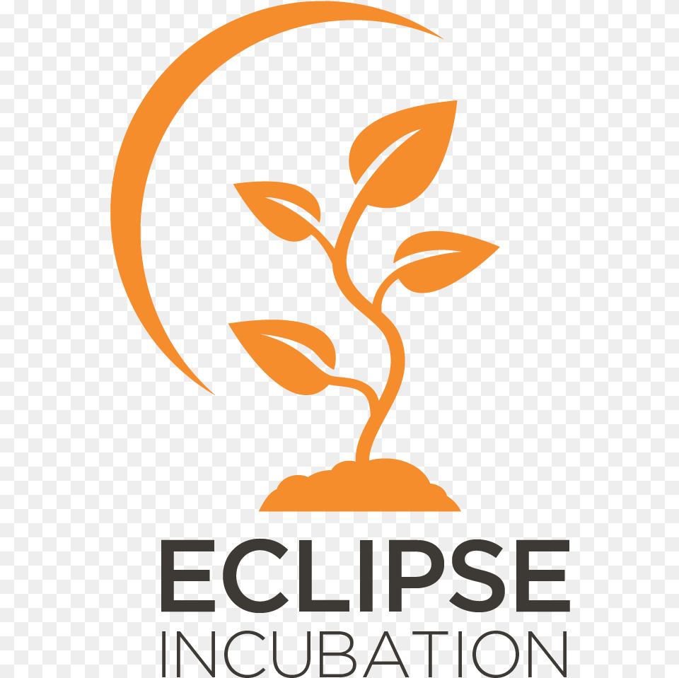 Incubation In The Eclipse Development Process Graphic Design, Advertisement, Astronomy, Moon, Nature Free Png Download