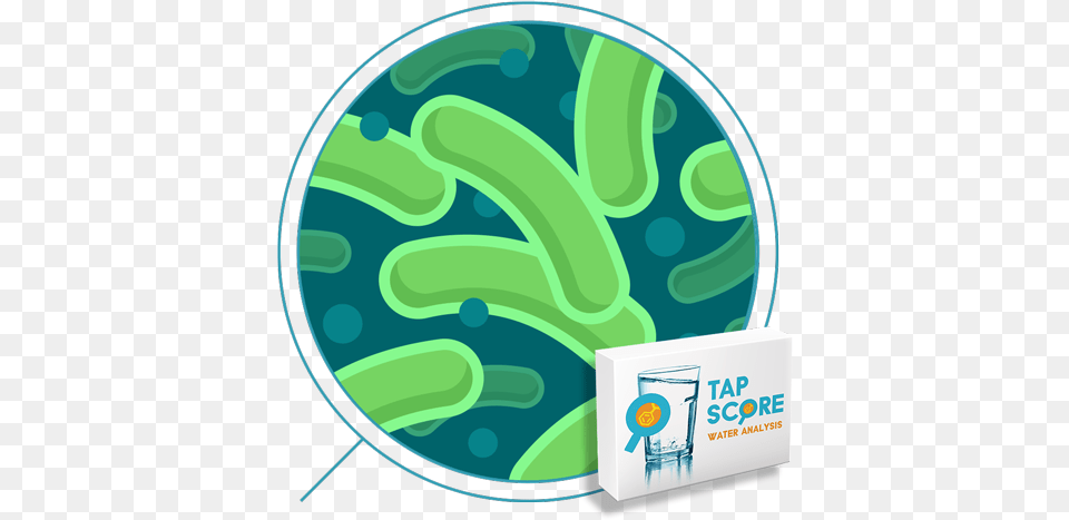 Independent Lab Water Tests For Home And Business Transparent Background Bacteria, Green Png