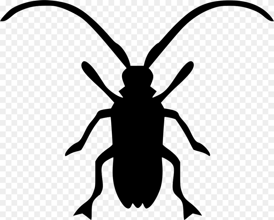 Index, Animal, Bee, Insect, Invertebrate Png Image