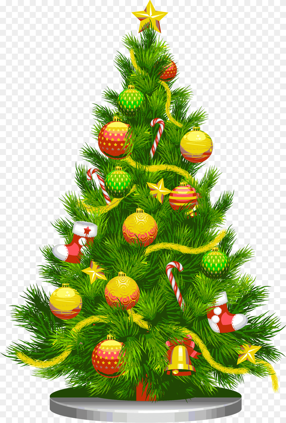 Index Of Administratorimages Christmas Tree, Plant, Christmas Decorations, Festival, Christmas Tree Free Transparent Png