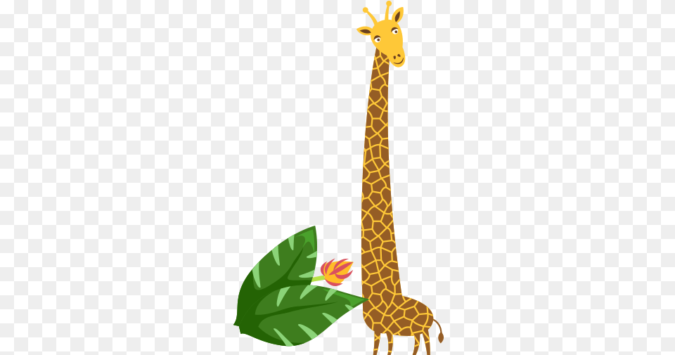 Index Of Assetsimg Animal, Giraffe, Mammal, Wildlife Free Transparent Png