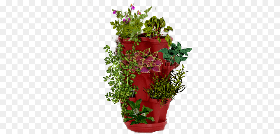 Index Of Bloomingdeals Planter, Flower, Flower Arrangement, Potted Plant, Plant Free Png Download