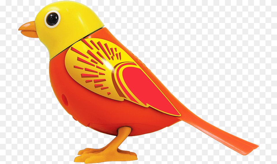 Index Of Digibirdsp02resourceswebsitecommonimages Robin, Animal, Bird, Finch, Beak Free Png Download