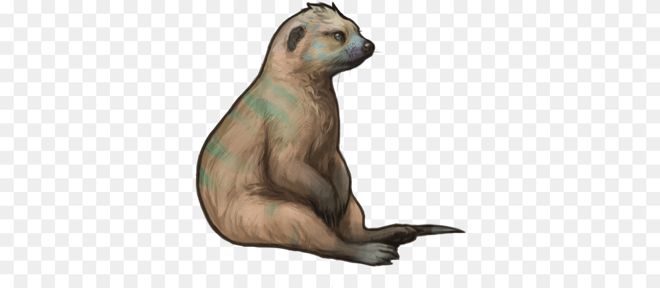 Index Of Eventnkmpaidraf Otter, Animal, Mammal, Sea Life, Sea Lion Png