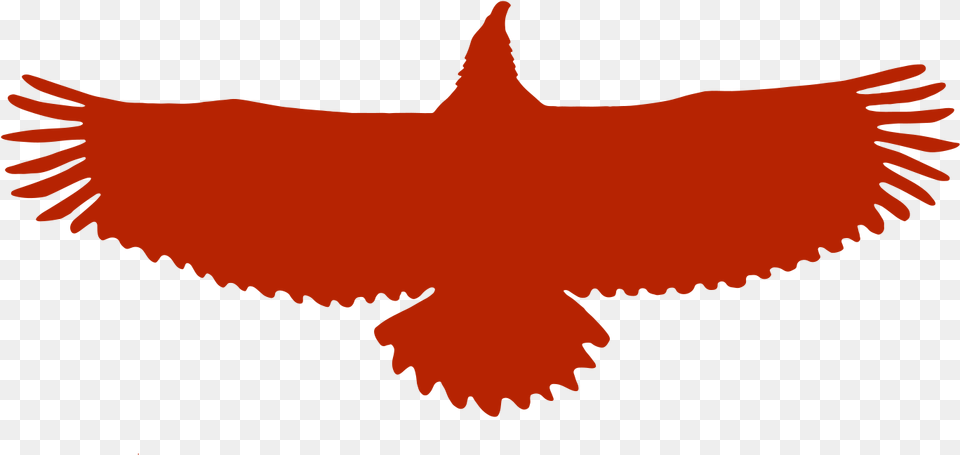 Index Of Imagesicons Clipart Usa Eagle Logo, Animal, Bird, Flying, Beak Free Transparent Png