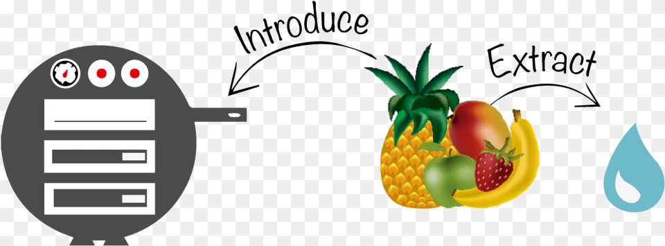 Index Of Imagesidioma Prohibido, Food, Fruit, Pineapple, Plant Png Image