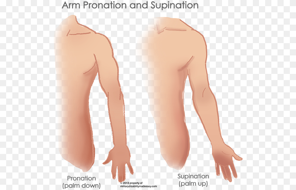Index Of Imagesshoulder Muscles Parathyroid Implantation Scar Wrist, Arm, Body Part, Person, Adult Free Png Download