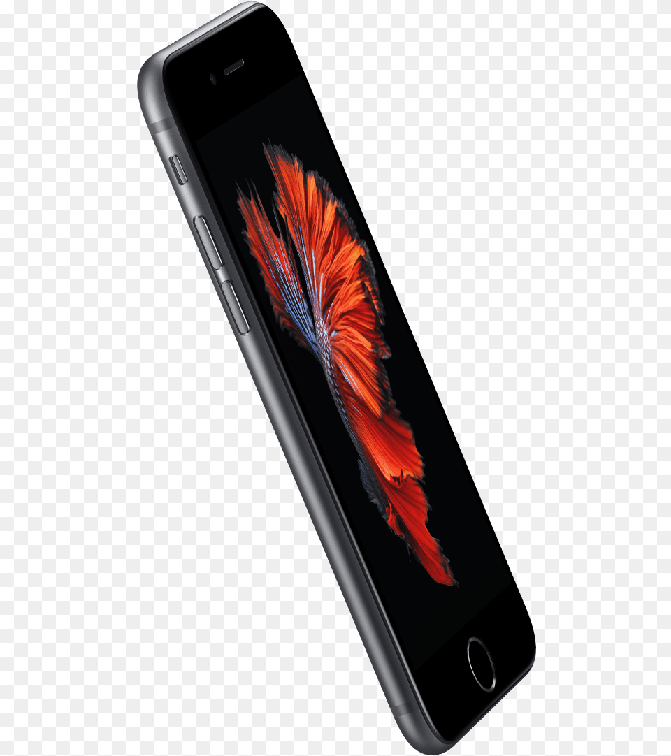 Index Of Imgiphone Space Grey Iphone 6s Price, Electronics, Mobile Phone, Phone Free Png