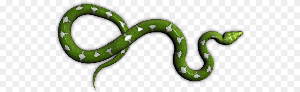Index Of Mappingobjectsanimalssnakes Transparent Green Snake, Animal, Reptile, Green Snake Png