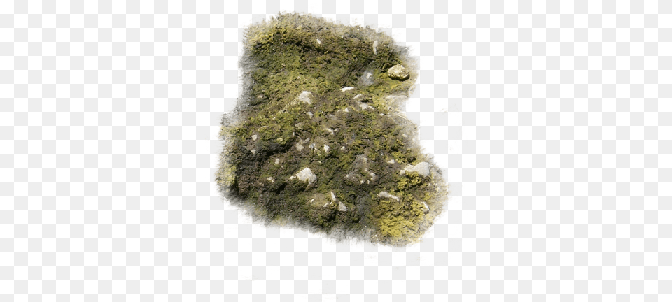 Index Of Mappingterrainmossy Moss, Algae, Plant, Rock, Mineral Png