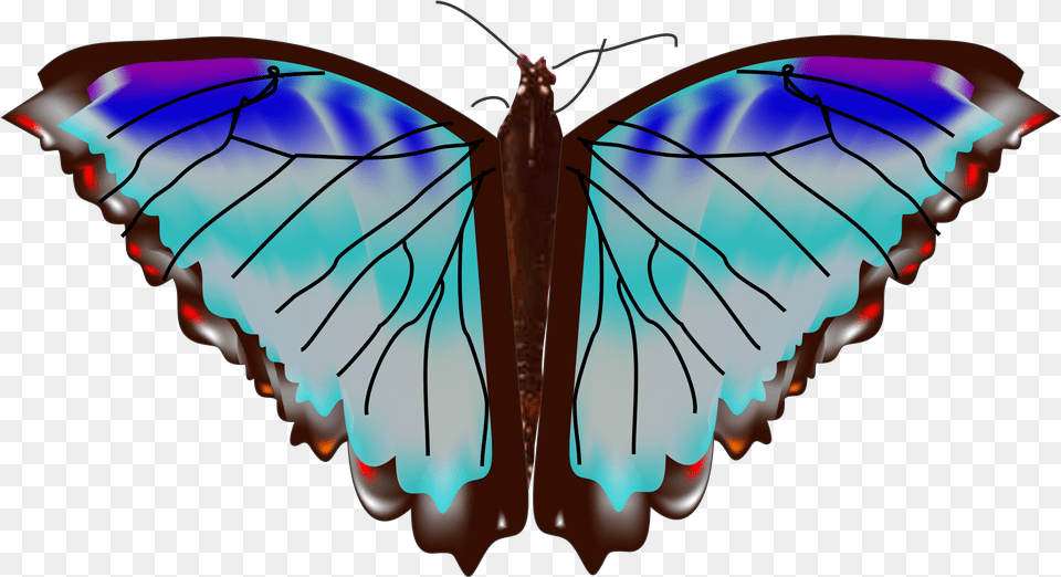 Index Of Mariposa, Animal, Butterfly, Insect, Invertebrate Free Transparent Png