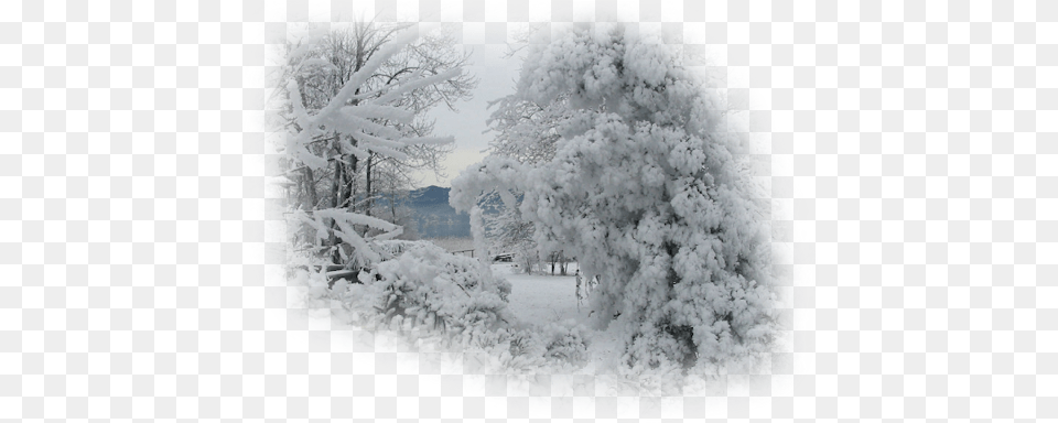 Index Of Maycatxmassharespng, Nature, Outdoors, Ice, Weather Free Png Download