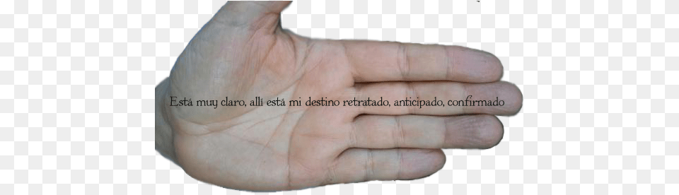 Index Of Memoriasycaminostextosimagenes Hand, Body Part, Finger, Person, Wrist Free Transparent Png