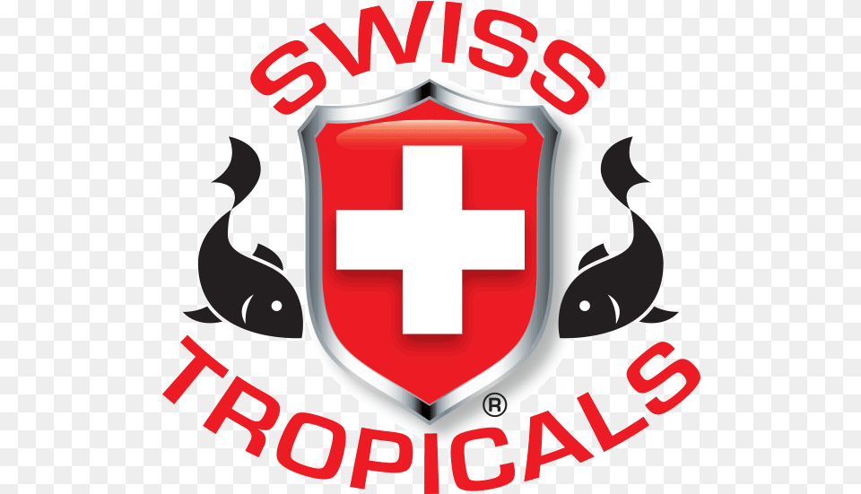 Index Of Pictures 600 Swiss, Armor, Shield, First Aid, Logo Free Transparent Png