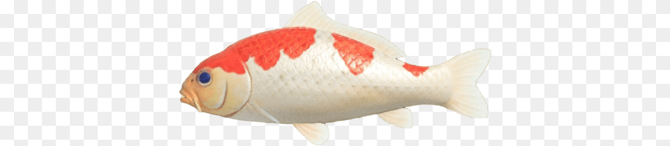 Index Of Publicimagesfish Animal Crossing Transparent Fish, Sea Life, Carp, Koi Png