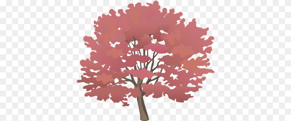 Index Of Ressources Ticeresstice1partagevisuelian Fall Tree Symbol, Flower, Maple, Plant, Person Png