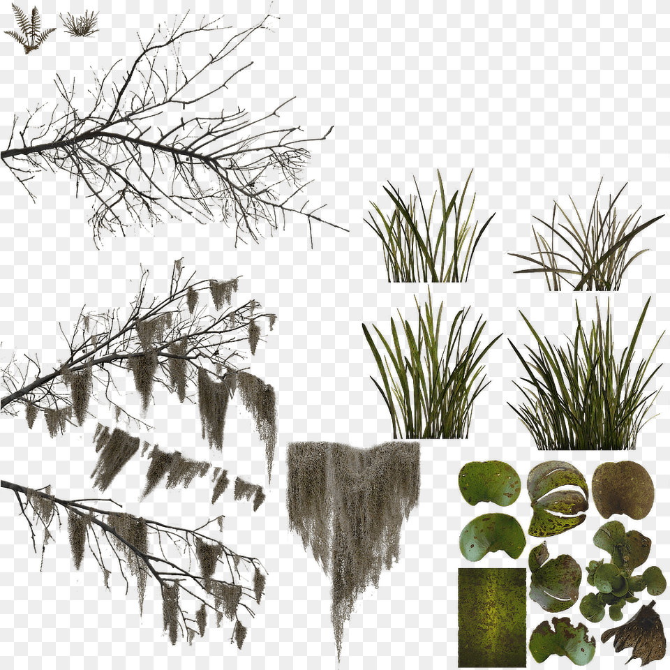 Index Of Sketch, Plant, Tree, Nature, Outdoors Free Png