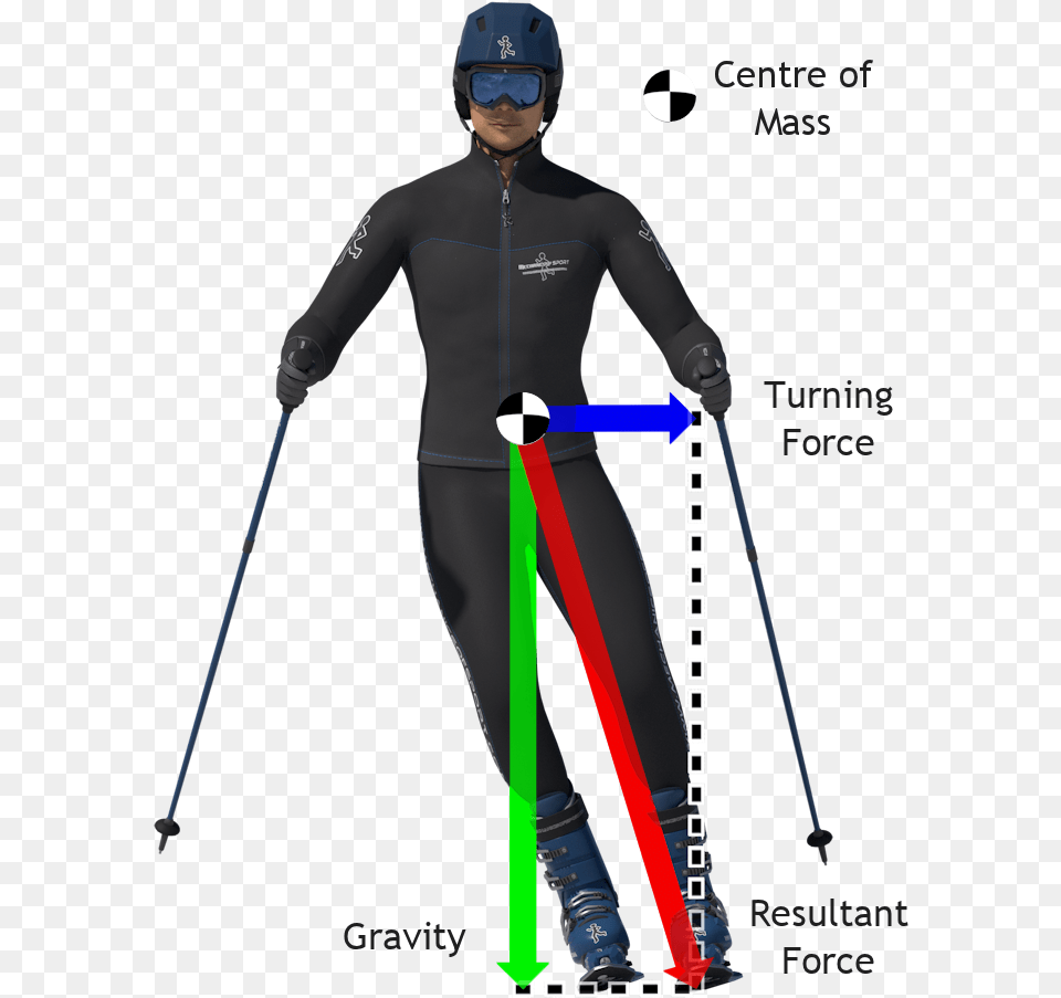 Index Of Skiinghowtoskigraphics Centre Of Gravity In Sport, Woman, Adult, Person, Female Free Png