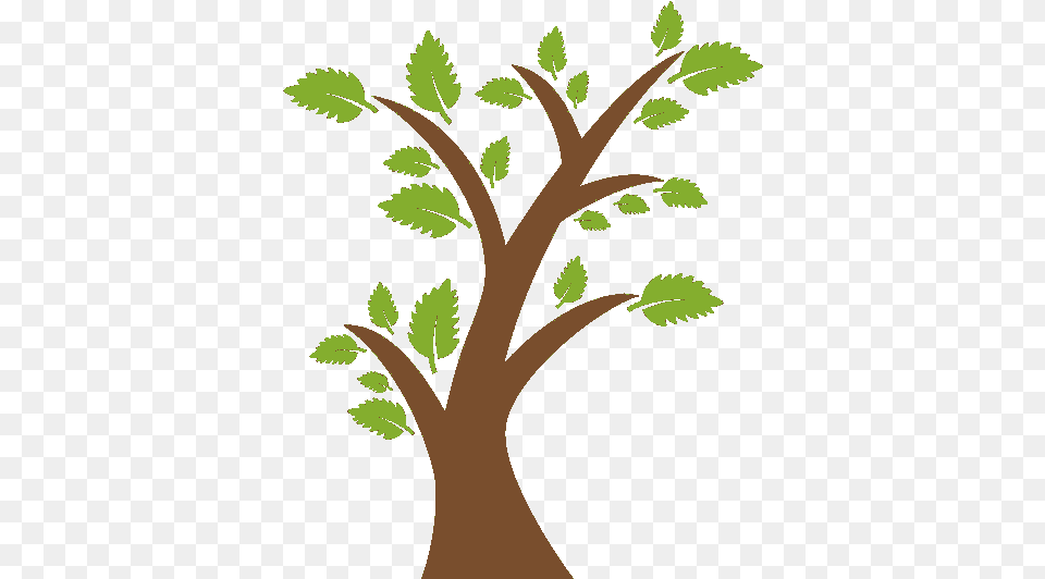 Index Of Skinfrontendsnsamodadefaultimages Animated Gif Tree Loading Gif, Plant, Green, Leaf, Herbal Png