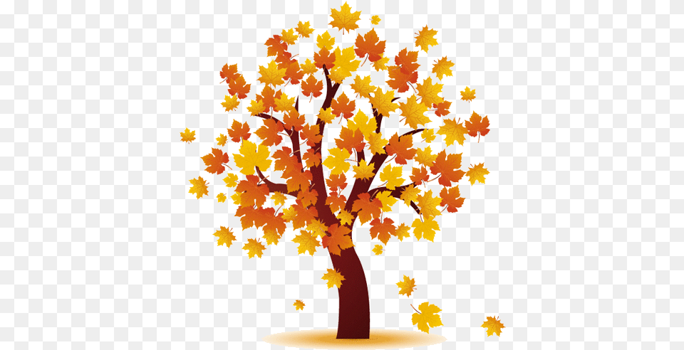 Index Of Transparent Fall Tree Gif, Leaf, Maple, Plant, Person Png