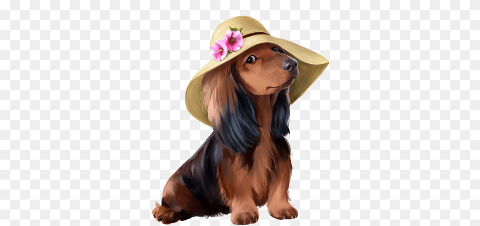 Index Of U2emee2upngs Funny Hat, Sun Hat, Clothing, Person, Adult Png Image