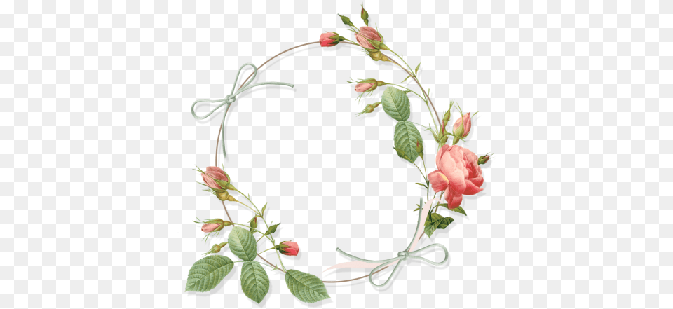 Index Of Userstbalzegrafixframes Vintage Flower Design Border, Plant, Rose, Flower Arrangement, Acanthaceae Png