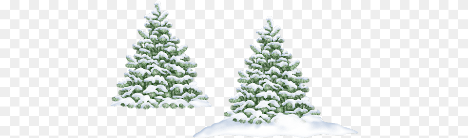 Index Of Userstbalzewintergrafix Merry Christmas, Fir, Plant, Tree, Pine Png Image