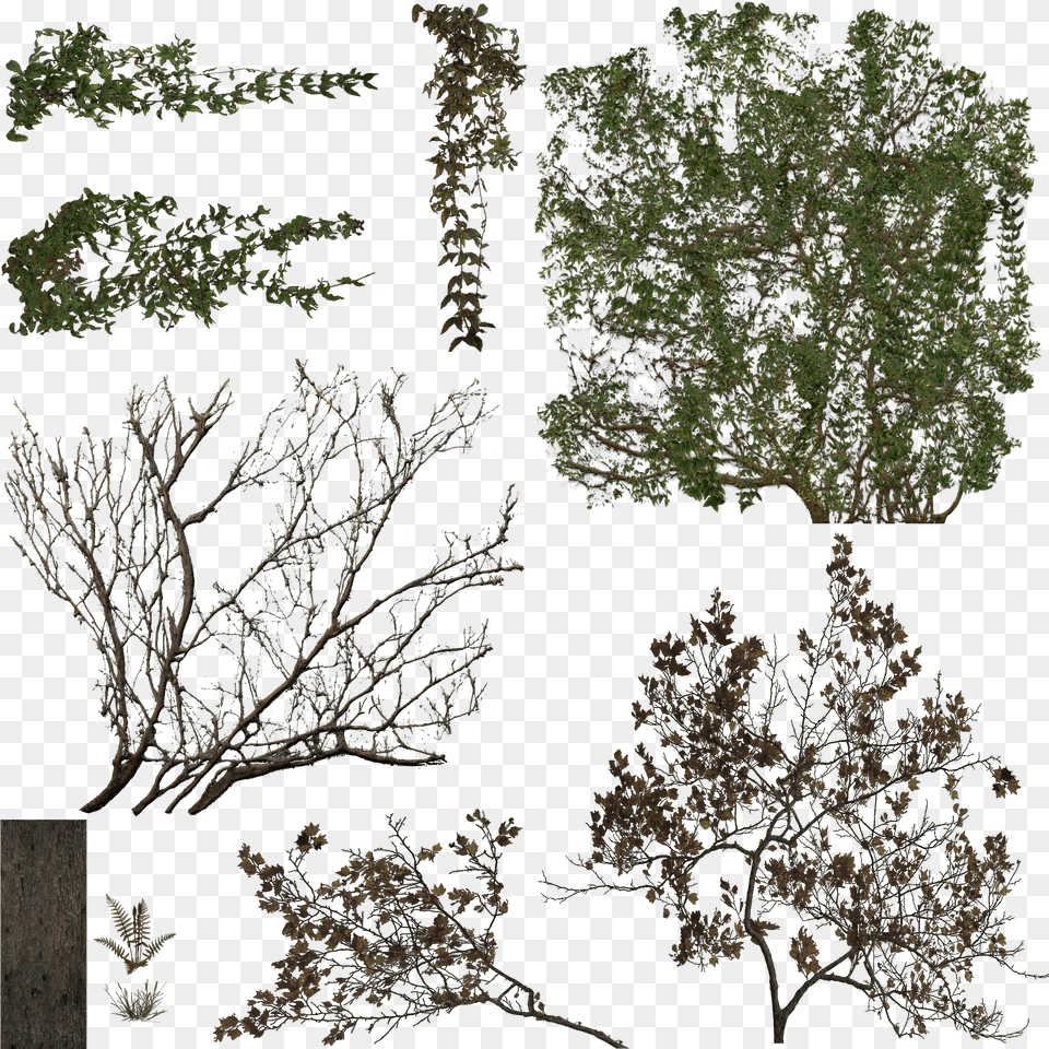 Index Of Viewerresourcesmaterialsmodelspropsfoliage Tree, Plant, Vegetation, Art, Collage Free Transparent Png