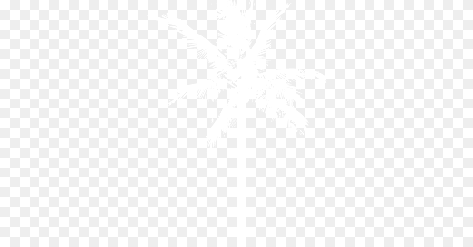 Index Of Wp Contentthemesvacayaimagesicons Fresh, Palm Tree, Plant, Tree, Person Png Image