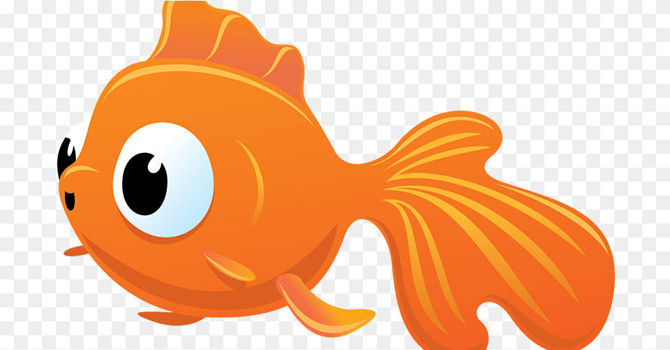 Index Of Wp Goldfish, Animal, Fish, Sea Life, Baby Png Image