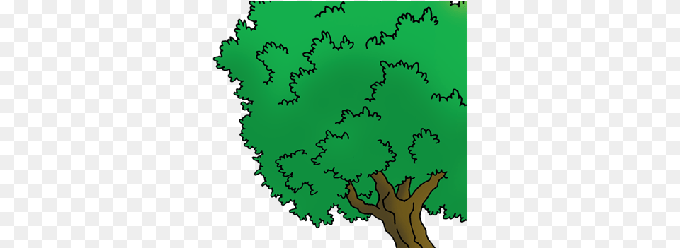 Index Of Wp Illustration, Pattern, Vegetation, Plant, Tree Free Png Download