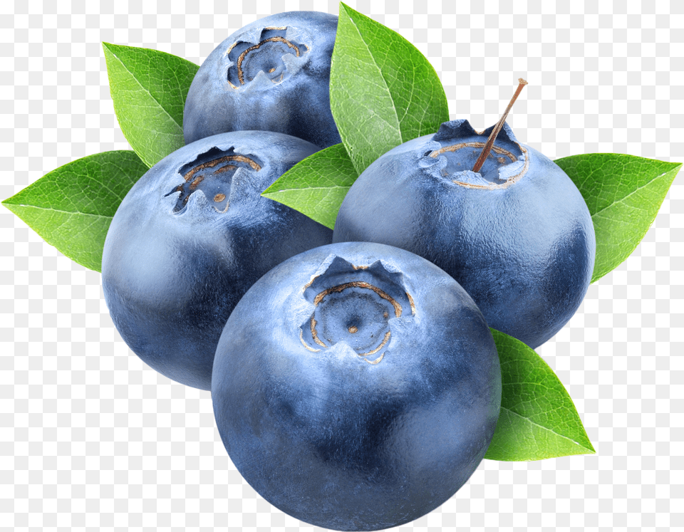 Index Of Wp Blueberry Transparent Background, Berry, Food, Fruit, Plant Free Png