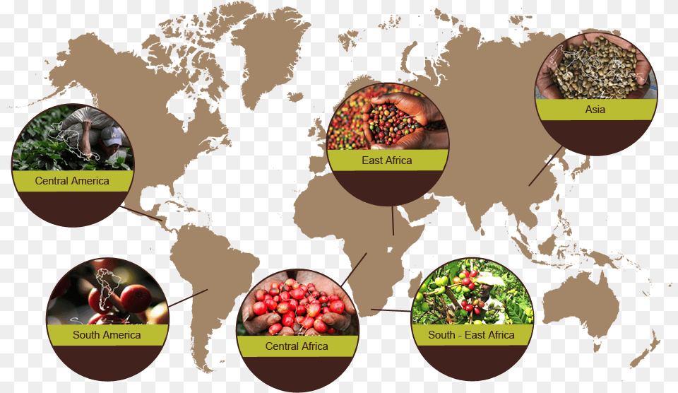 India In World Map Vector, Plant, Vegetation, Person, Nature Free Png