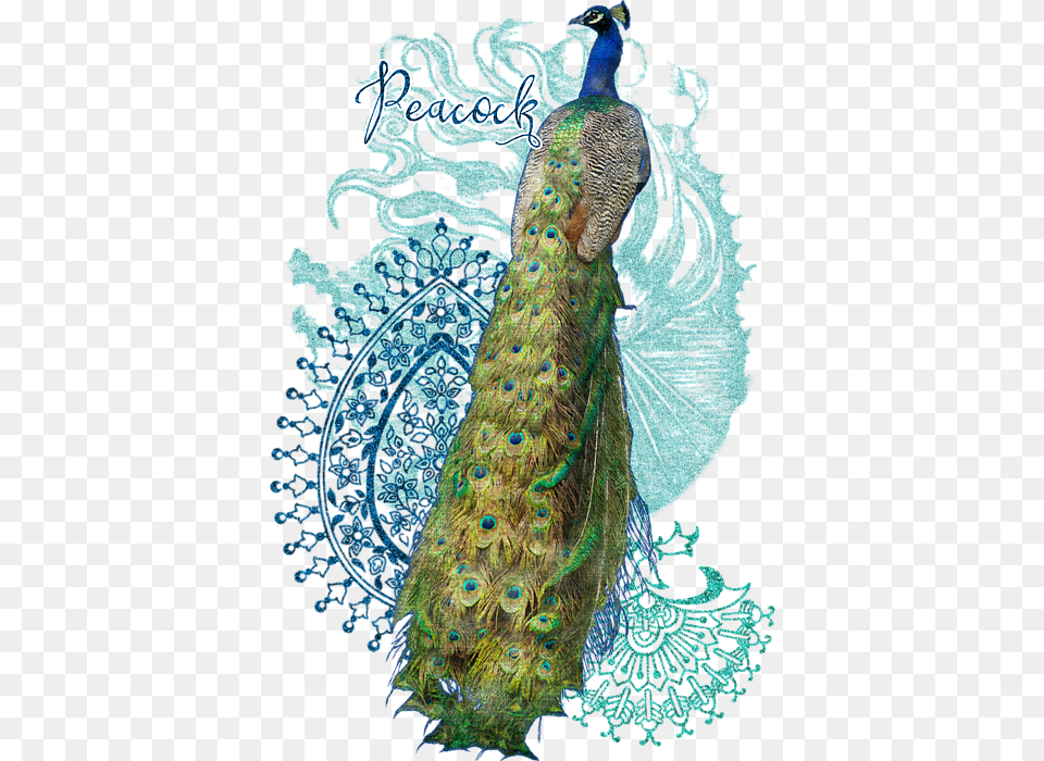 India Peacock Paisley Design, Animal, Bird Png Image