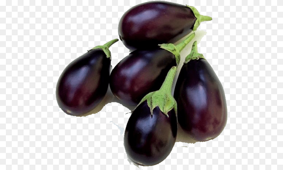 Indian Brinjal, Food, Produce, Eggplant, Plant Free Png Download