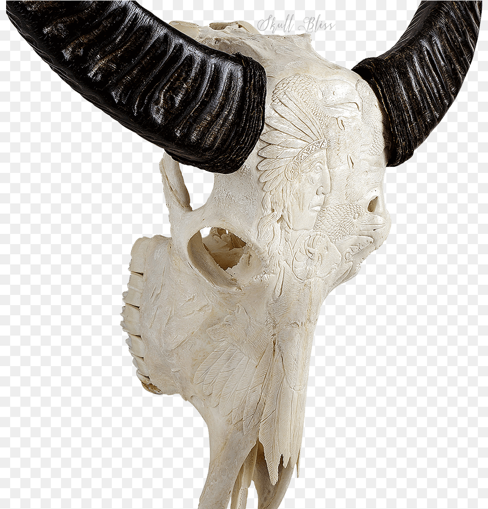 Indian Carving Buffalo, Adult, Female, Person, Woman Free Transparent Png